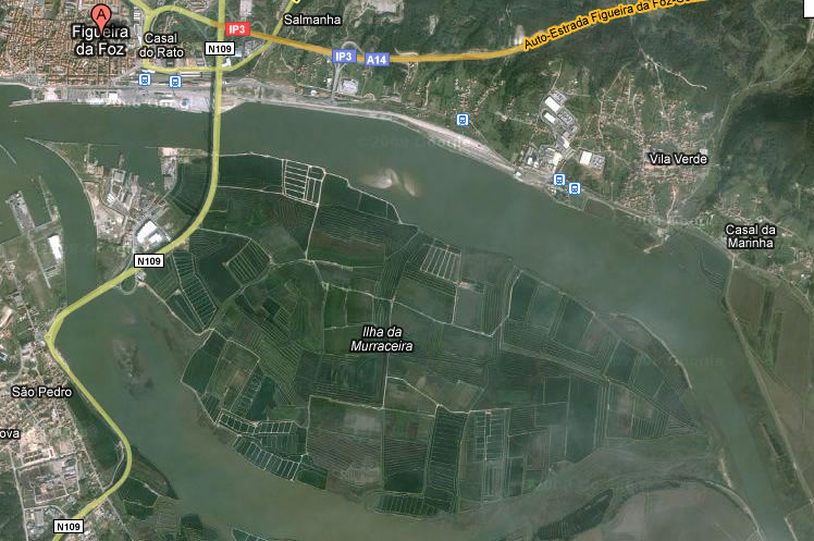 [ailhadamorraceirafigfoz.jpg]