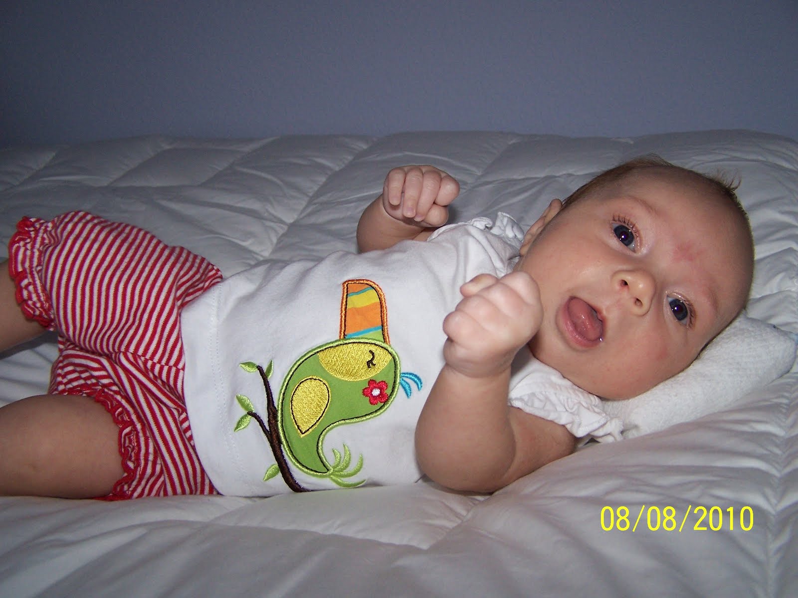 Joy through the Cri 8 weeks old