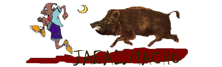 UN JABALI MACHO NOS VA A EMPERCHAR