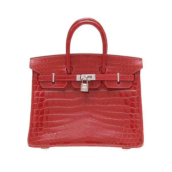 Birkin of the Day