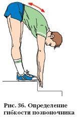 Определение гибкости позвоночника. Лабораторная работа по биологии выявление нарушений осанки. Вывод по оценке гибкости позвоночника. Упражнения на гибкость. Практическая работа гибок ли ваш позвоночник.