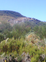 Monte de los taros, guarida de mouros