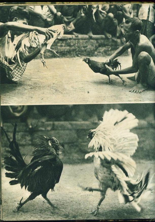 Foto bali tempoe doeloe ~ Svara Mahardika