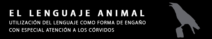 El lenguaje y la comunicación animal