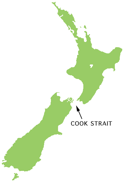 [NZ-Cook_St.png]
