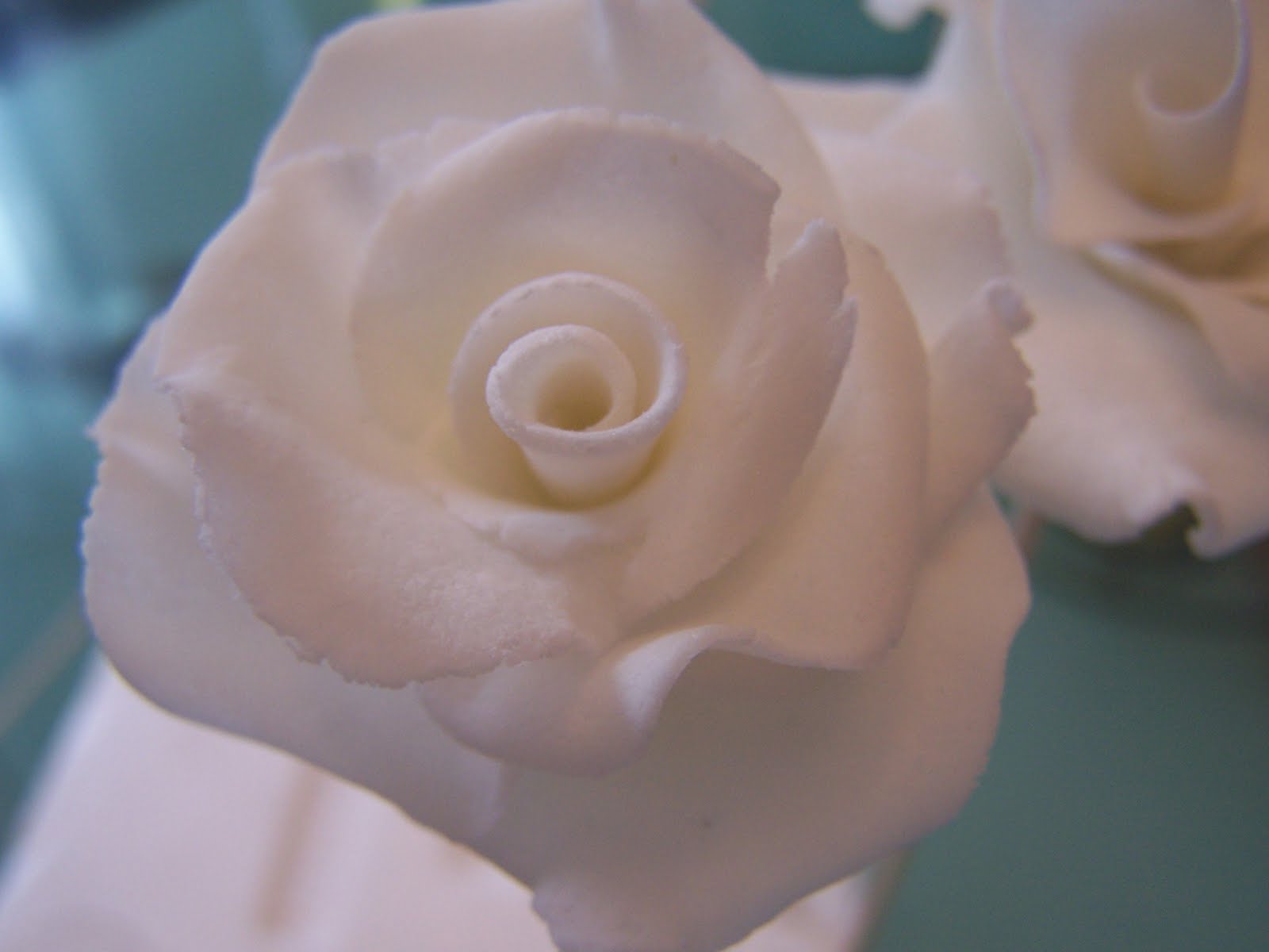 Ein Königreich für Torten: Weiße Rosen aus Blütenpaste