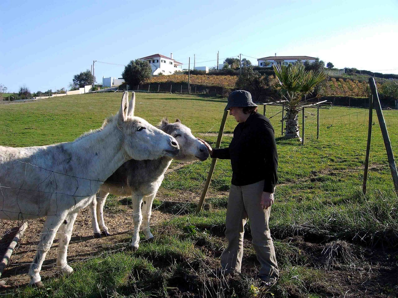 [CAPTURADO_2004_11_13_00034.jpg]