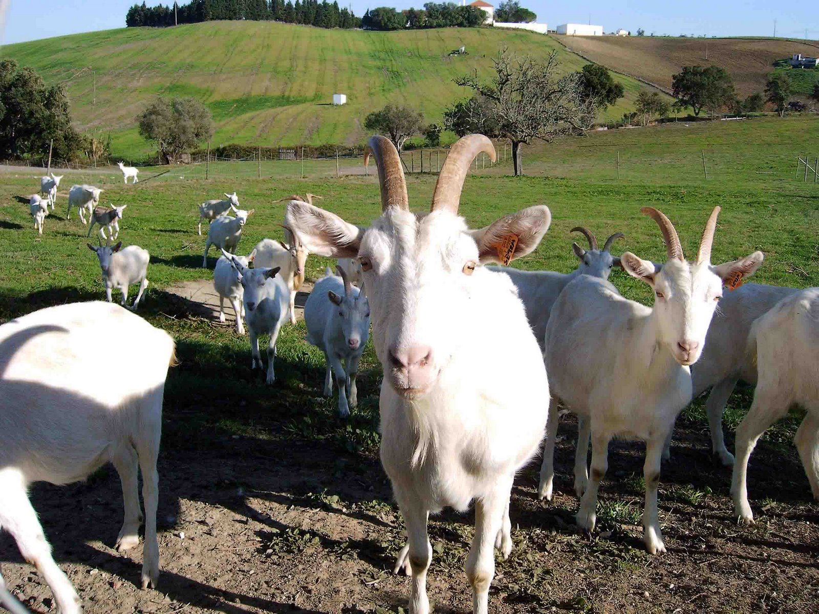 [CAPTURADO_2004_11_13_00026.jpg]