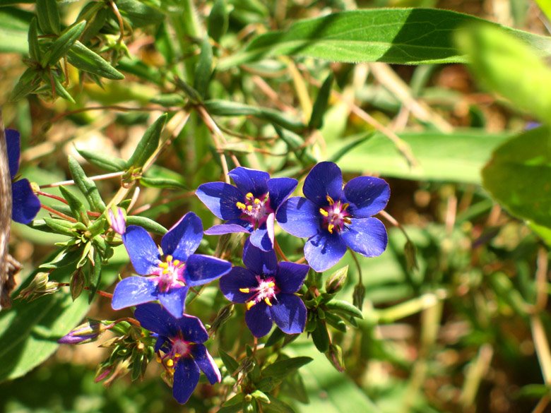 [06-08-2009_123.jpg]