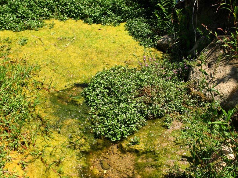 [06-08-2009_114.jpg]