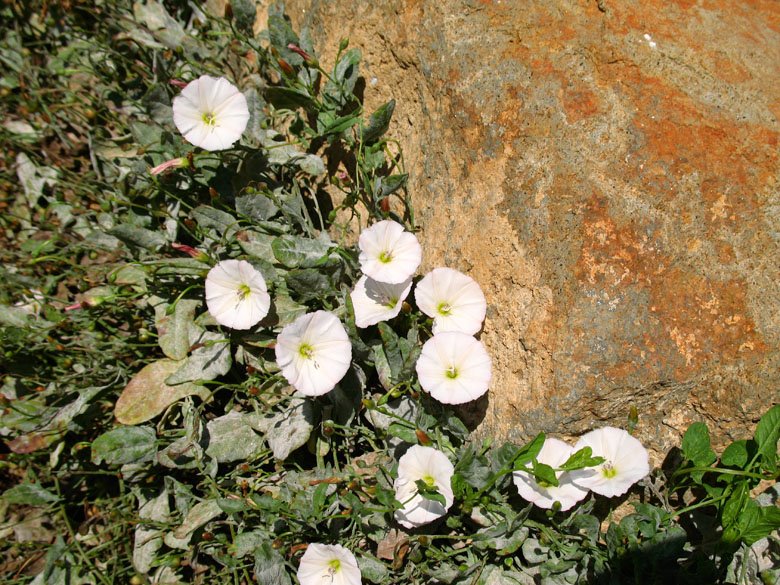 [06-08-2009_117.jpg]