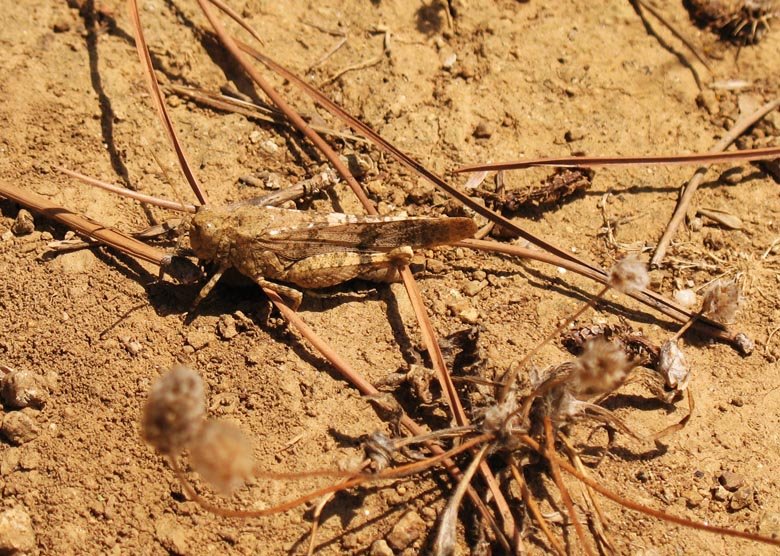 [06-08-2009_034.jpg]