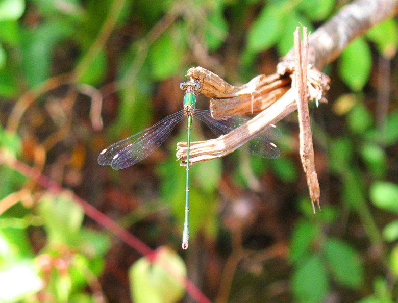 [06-08-2009_022.jpg]