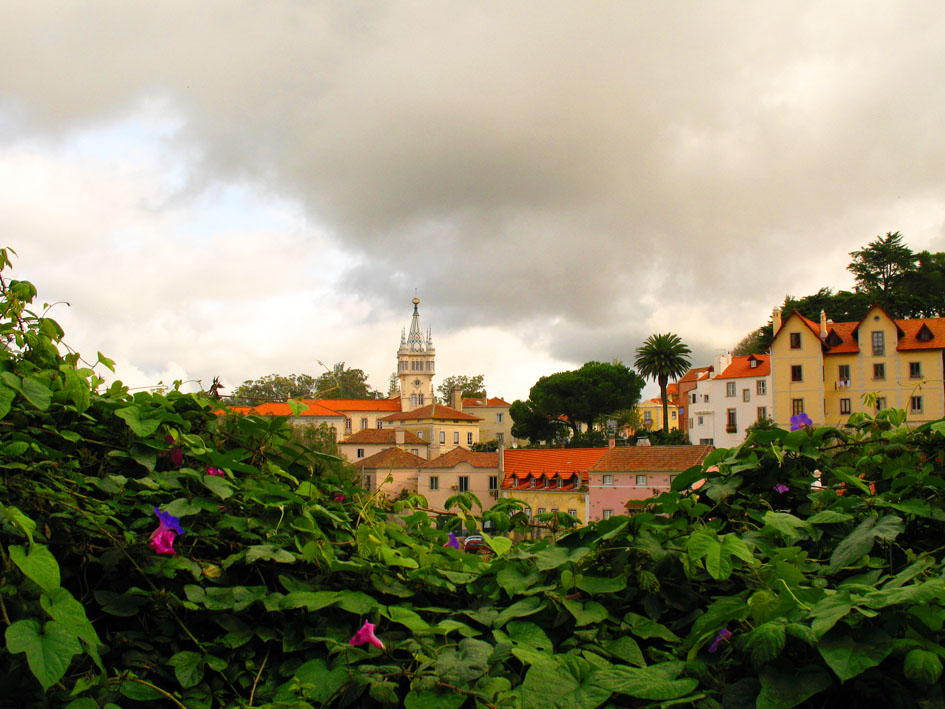 [11-11-2009_012.jpg]