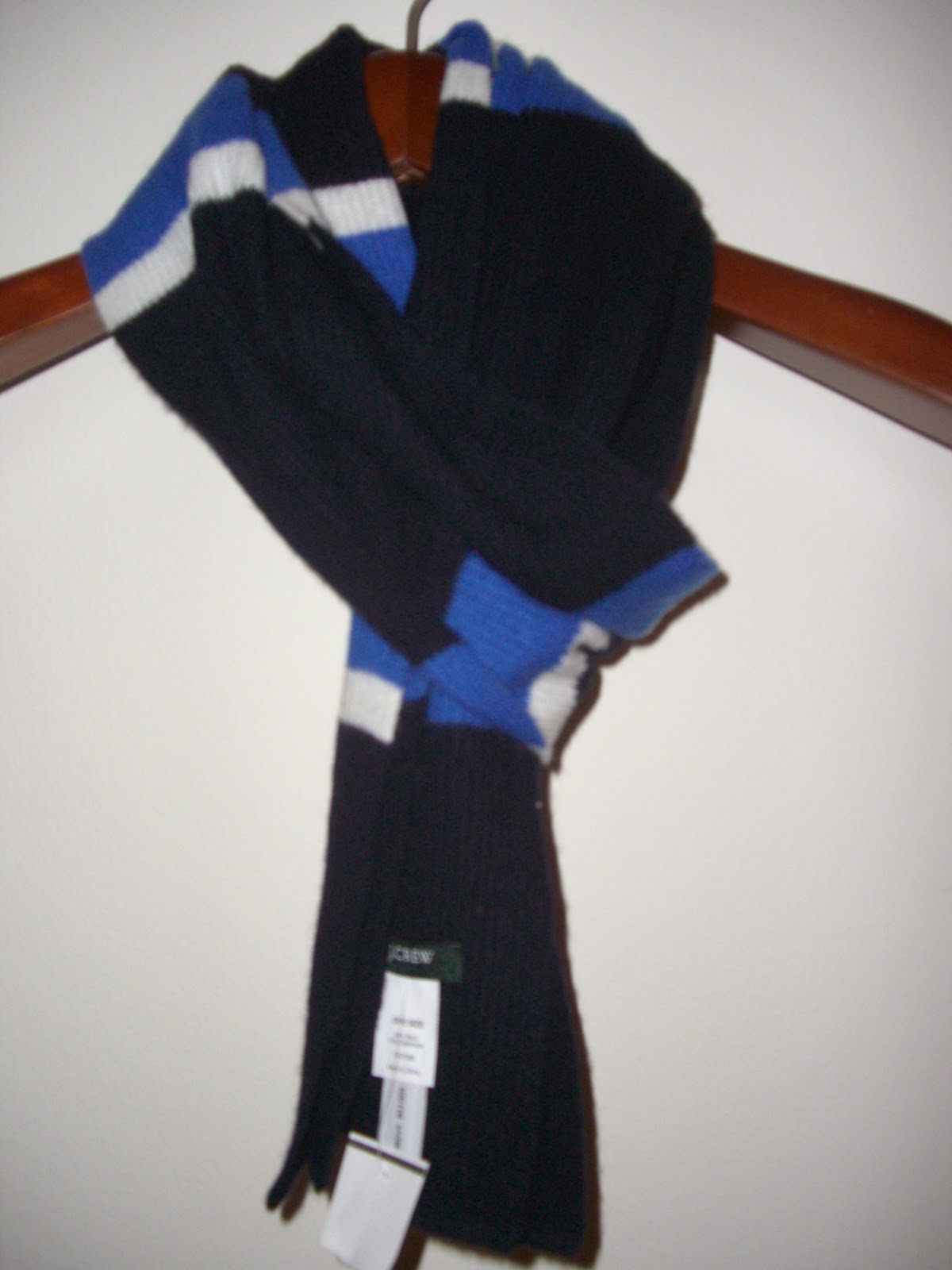 justtestingthis33 NWT J. Crew Blue and Black Striped Scarf
