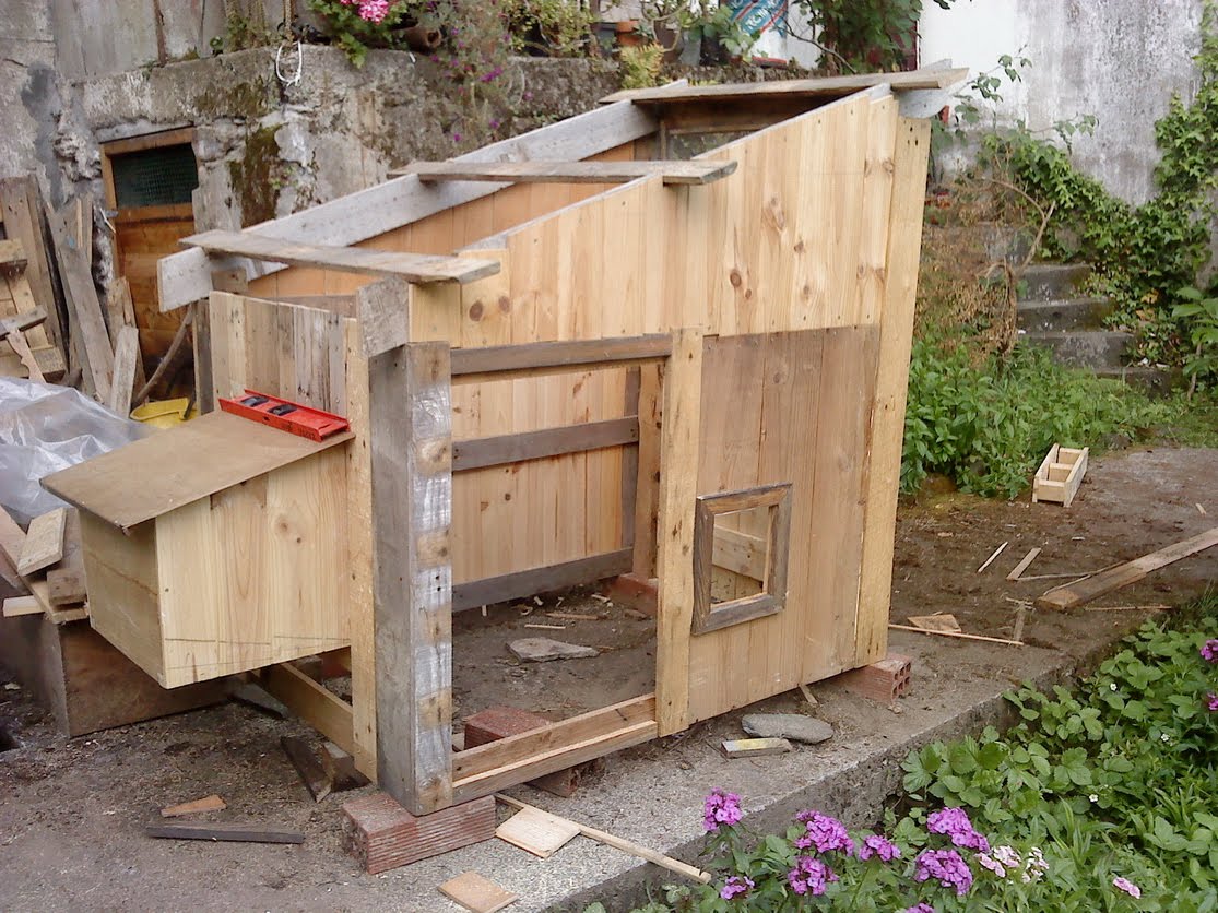Pero Mira Lo Que Hay Aquí! Gallinero de Madera Paso a paso