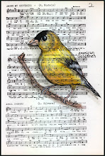 American Goldfinch Pen and Ink watercolor by Rita
