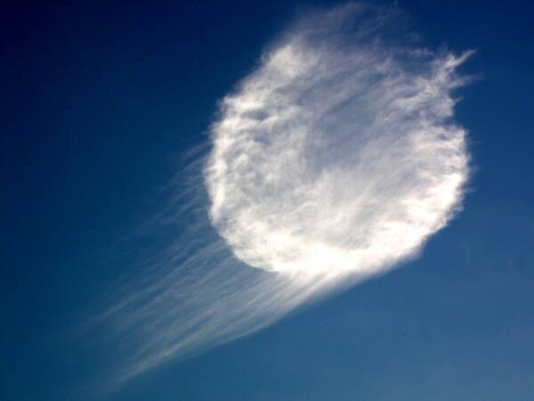 [Jellyfish_cloud_big_e.jpg]