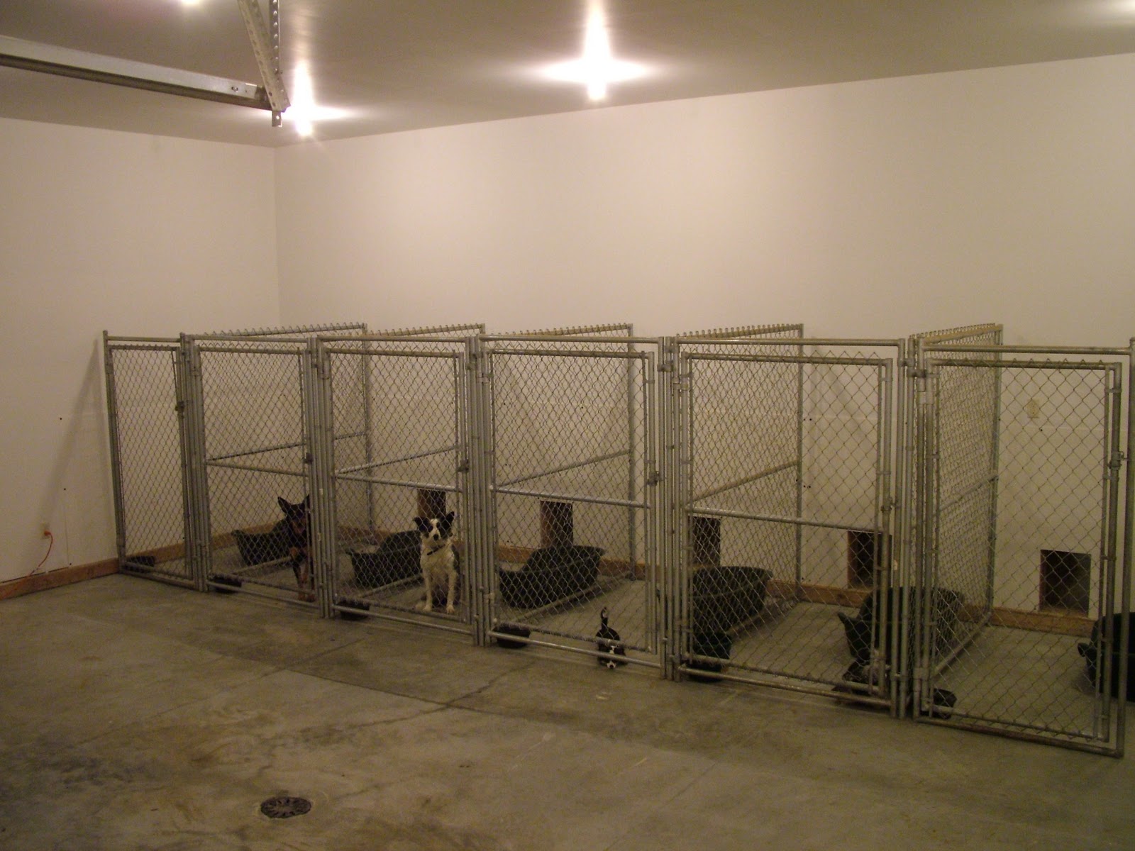 Phantom Ridge Border Collies: Kennel is done!