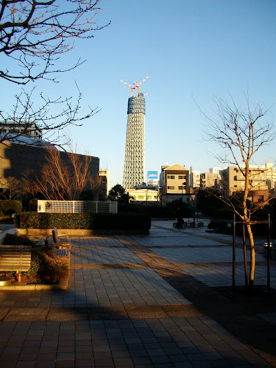 ふれあい広場から見た建設中(264m)の東京スカイツリー