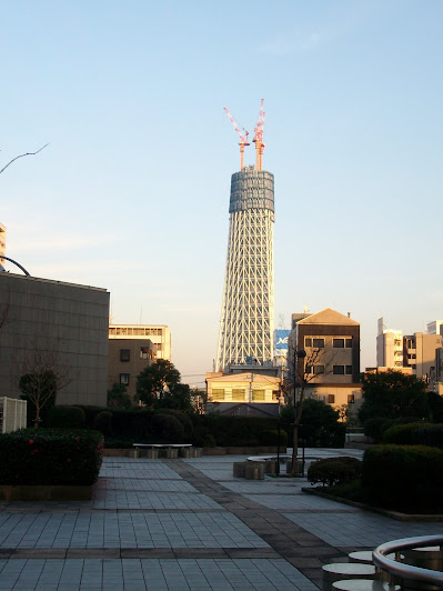 ふれあい広場から見た建設中(245m)の東京スカイツリー