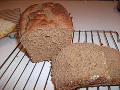 Boston Brown Bread - made with teff