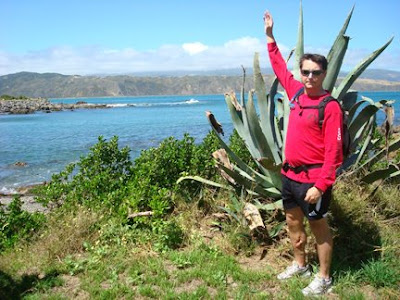 KC to Kiwi: Adventures in New Zealand: Our first nude beach experience