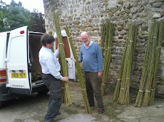 Loading Willow