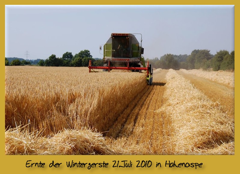 Sehr Hungriger Arsch Sehr Hungriger Arsch