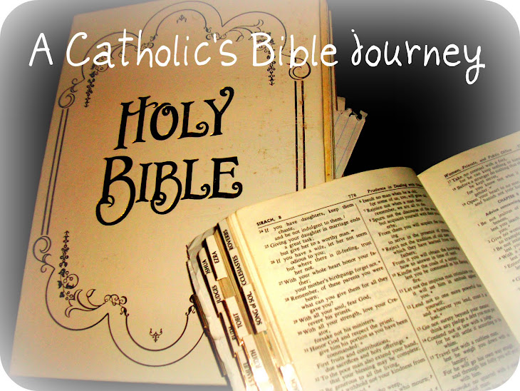 A Catholic's Bible Journey