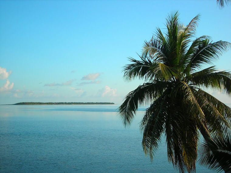 COCOS ISLAND - Guam's Fantasy Island