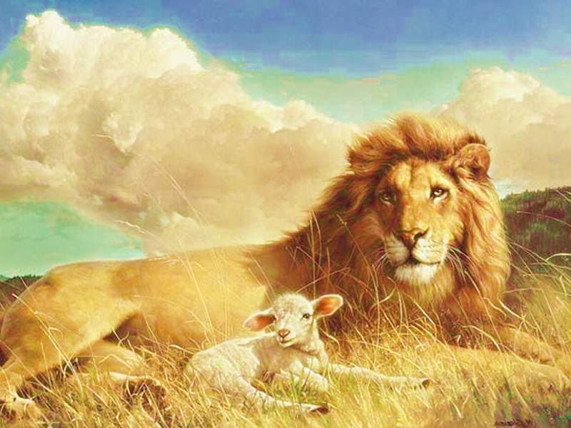 Eternity Talk: Lambs and Lions.
