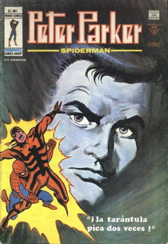 [numeros-F639-286-729-50.jpg]