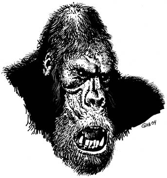 [bigfoot1_sketch3.jpg]