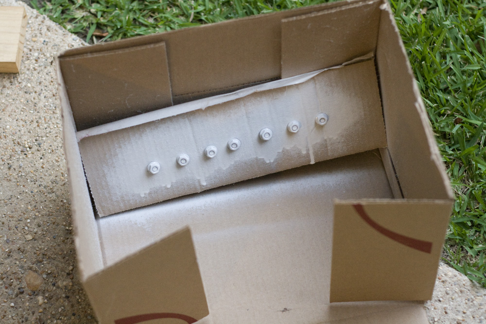 Lydia's Innovations and Just Plain Ordinary Ideas How to Paint Nuts