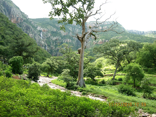 Ebharat Darshan November 2010