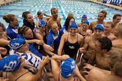 Go Bulls!