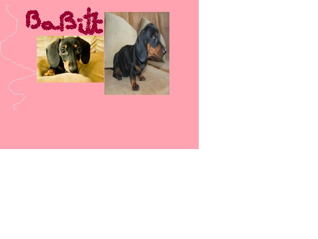 babitt