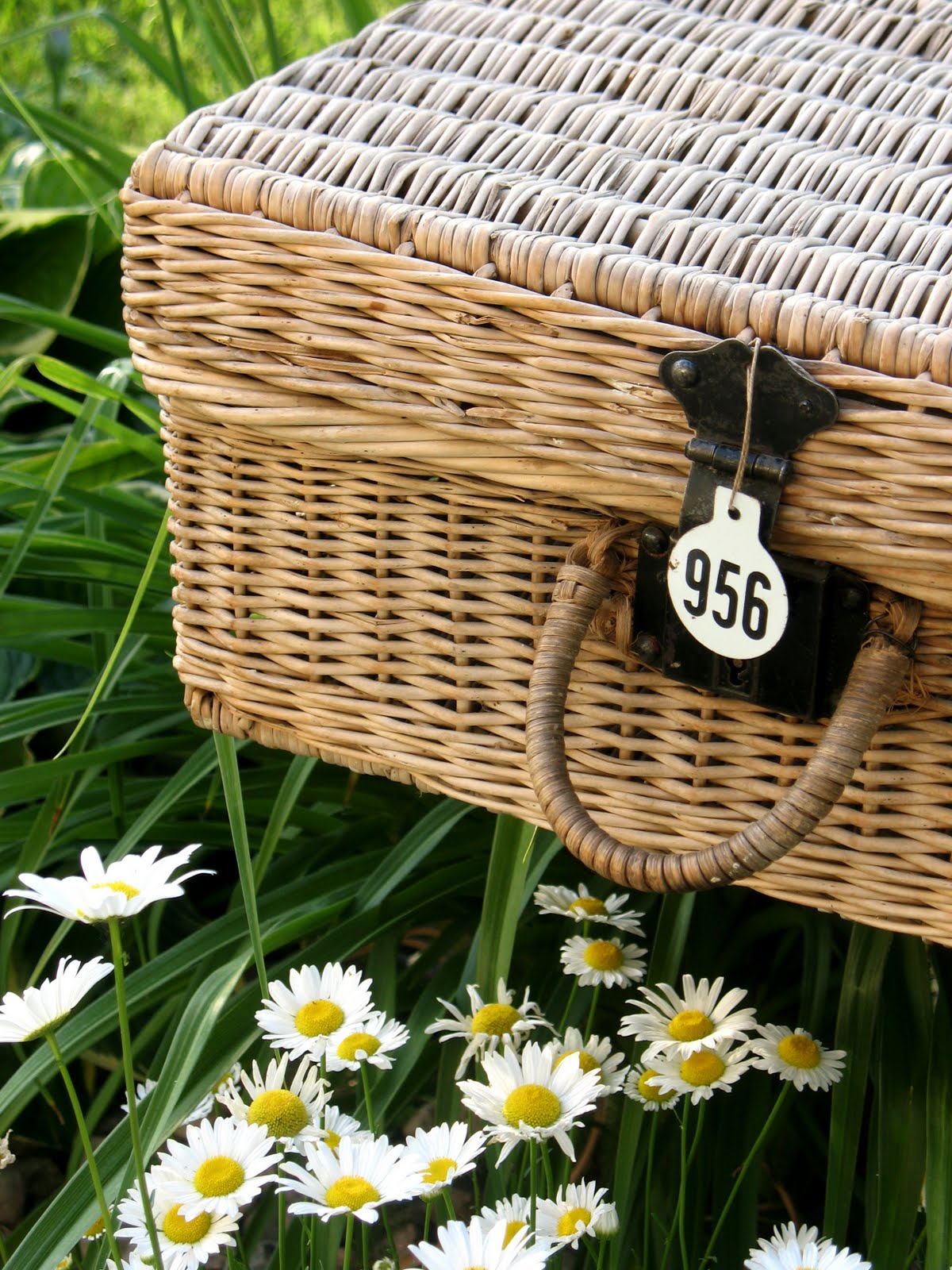 42+ Picnic Basket For Sale Near Me PNG