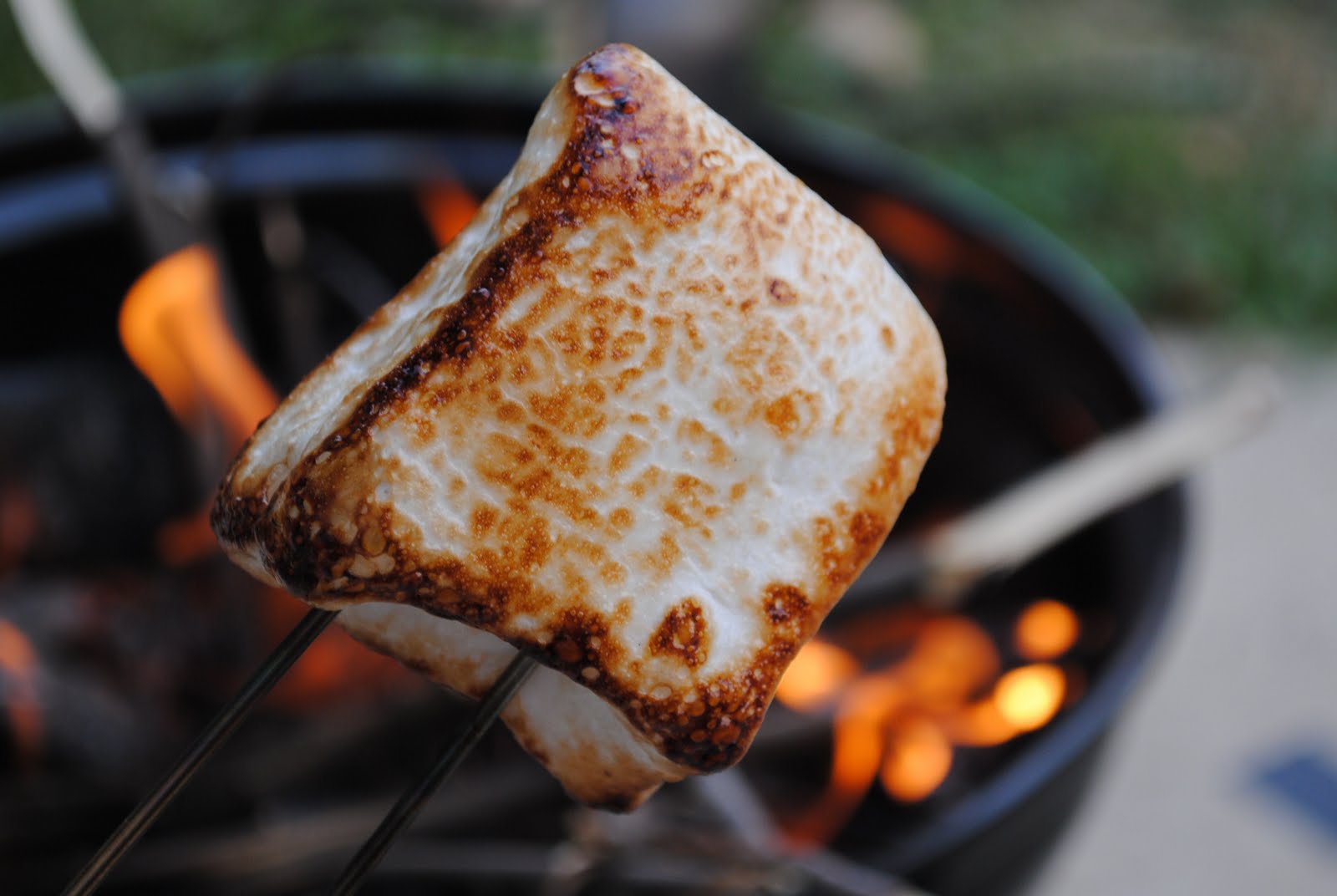 latent chestnut Roasted Marshmallows