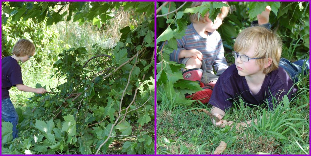 [Picnik+collage10.jpg]