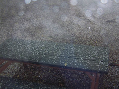 HAIL STORM