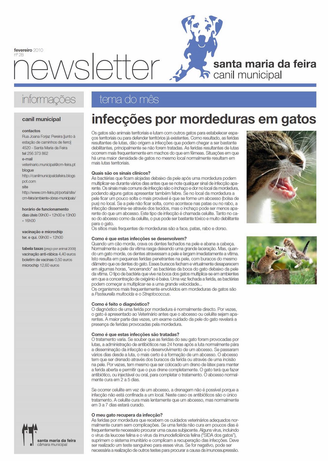 [newsletter+fev10.png.jpg]