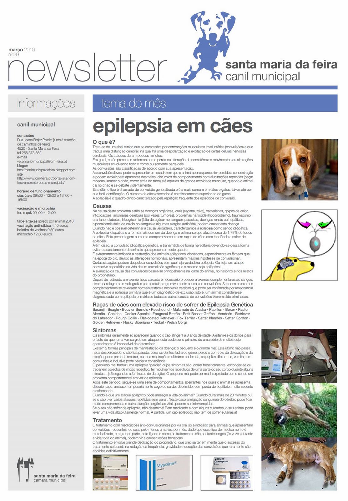 [newsletter+canil+mar10.jpg]