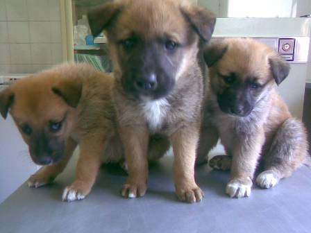 [2008+06+17+3femeas_3.jpg]