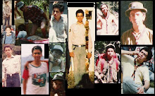 Evolución 29