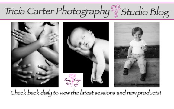 Tricia Carter Photography Studio Blog