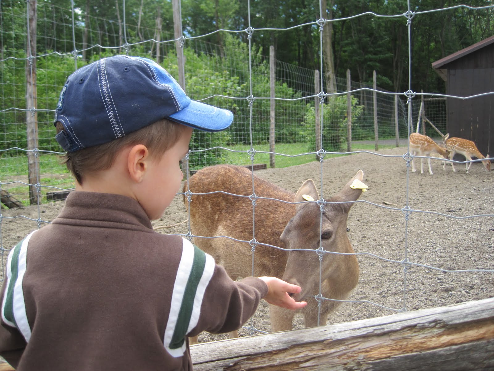Rikers Island Visiting Schedule October 2024