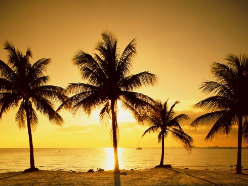 [mini_Key_Biscayne__Near_Miami__Florida.jpg]