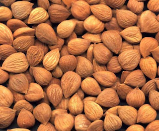 ثمار اللوز Almond